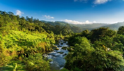 discovering the natural beauty of yerba loca s tres valles sanctuary