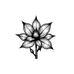 Elegant botanical illustration: A captivating hand-drawn floral design with delicate lines and