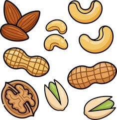 Vector Illustration of Roasted Nuts – Almonds, Cashews, Peanuts, Walnuts, and Pistachios Isolated