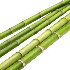 Fresh green bamboo stalks isolated on transparent background, a symbol of nature and tranquility