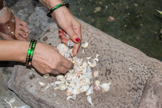 Village or traditional style cooking method using stone grinder to prepare garlic paste. peeling garlic by hand.