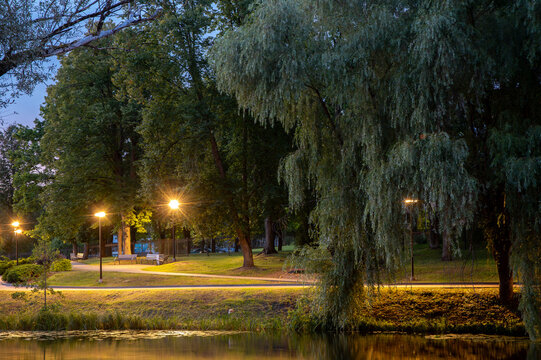 Peaceful park scene at dusk with glowing street lamps, large willow trees, walking paths, benches, and calm water reflections.