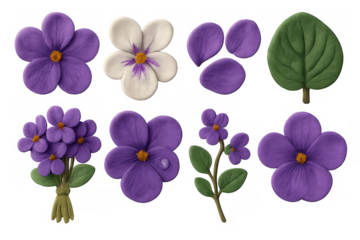 Purple violets collection: detailed botanical artwork of flowers and leaves