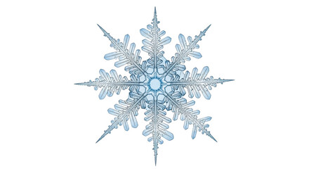 Isolated Snowflake