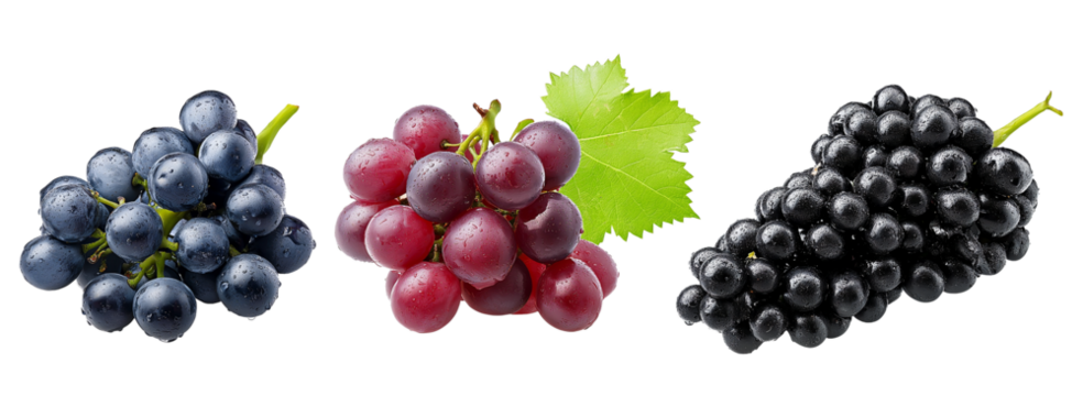 set of fresh grapes isolated on a white background, different colors and types of grape fruits, red, blue, green, black