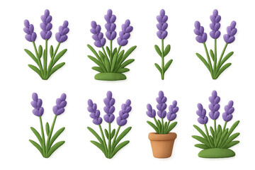 Fototapeta premium Purple lavender blooms in various arrangements and pots