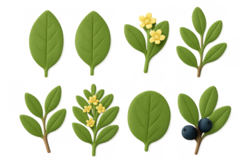 Set of green leaves with flowers and berries in a flat design style