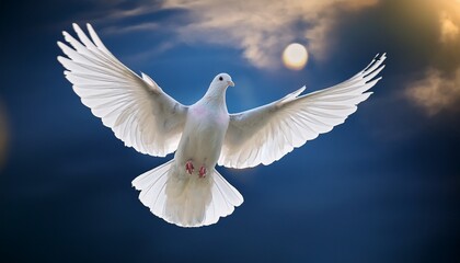 white dove with wings in the air