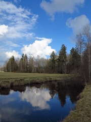 Calm body of water with trees in the background