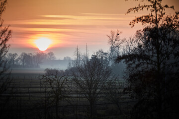 Naklejka premium Sonnenaufgang in Lippstadt Overhagen im Kreis Soest