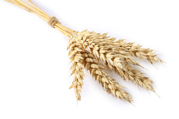 Bunch of wheat ears isolated on white