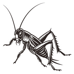 Cricket silhouette