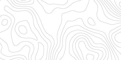 Abstract White Background with Topographic Contour Curves Geographic Elevation Lines Wavy Terrain Patterns Paper Texture and Contemporary Mapping Design
