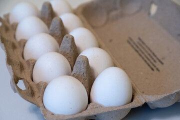 Fresh White Eggs in Cardboard Carton Pack