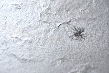 Chronoscape Echoes of the Singularity (2)