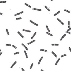 3d microscopic view of bacteria cells in motion for science research transparent background
