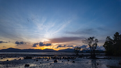 Golden hour unfolds in a mesmerizing time lapse as sunlight pours through the gaps in the mangrove trees. Gentle waves lap the shoreline, adding movement to this serene and meditative coastal scene.