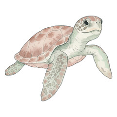 Fototapeta premium Watercolor sea turtle with light brown and green markings side view isolate
