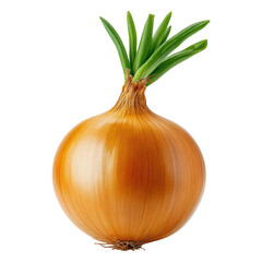 A Single Whole Yellow Onion With Green Sprouts And Roots Against A Transparent Background Isolate