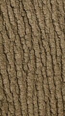 Obraz premium Textured brown tree bark surface