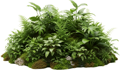 Lush green jungle foliage with ferns and broad leaves lush moss on rocks natural greenery isolate plants