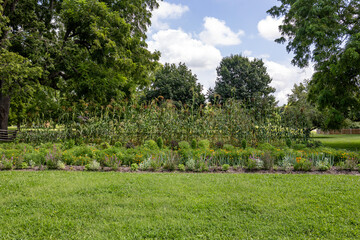small garden in the contry