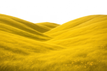 Rolling yellow hills creating a mesmerizing landscape with transparent background