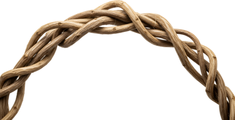 Close Up View Of Entwined Dry Wooden Vines Forming An Arch Shape On A Transparent Background Twisted Natural Transparent Background