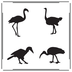 Tall Bird Silhouettes Set - Flamingo, Ostrich, and Heron Shapes in Black Vector Illustrations for Wildlife, Birds, and Nature Designs