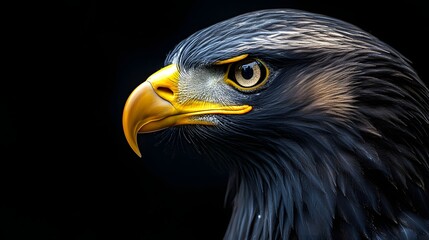 Hyper-realistic close-up portrait of a black eagle, detailed raptor on dark background, wildlife photography for posters, magazine covers, nature-themed decor