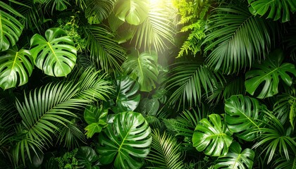 A lush wall of tropical foliage, with a variety of bright green leaves in soft sunlight.