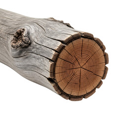 Gray weathered wood log cross section with visible rings isolated on transparent background