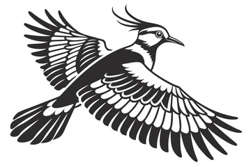 Fototapeta premium Lapwing sihouette black vector