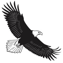 eagle vector illustration