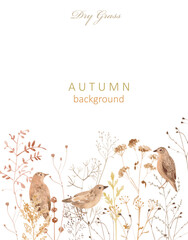 watercolor invite card with dry brown grass, autumn wild herbs and little brown birds