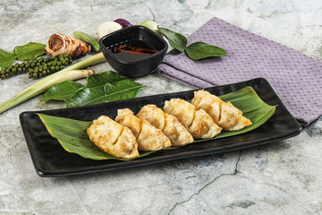 Japanese cuisine - stuffed dumplings gyoza