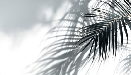 Obraz premium Neo-Tropica Shadows of Tomorrow (1)