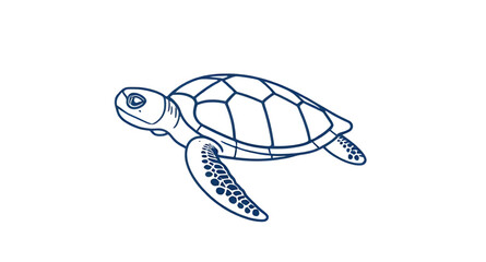 sea turtle drawing, cute turtle drawing, cartoon turtle, turtle art, turtle outline, turtle doodle, turtle vector, turtle ink drawing, hand drawn turtle, baby turtle drawing, turtle black and white, r