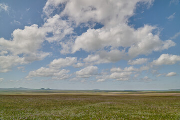 Vast open grassland under a blue sky with fluffy white clouds and distant rolling hills