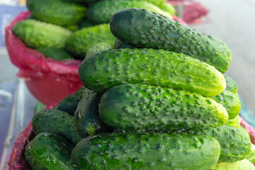 Fresh cucumbers stacked in a market display. Farm fresh cucumbers in a vibrant pile representing natural produce clean eating and seasonal vegetables.