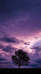 Fototapeta premium A striking silhouette of a tree against a vibrant purple and pink sunset sky.