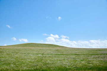 Expansive Green Meadow Under a Vast Blue Sky with Wispy White Clouds