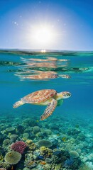 Obraz premium Sea turtle swimming in the sea, ocean background, summer, sun, clear water, sea and holidays. High quality