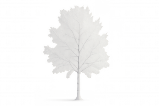 Fluffy white tree isolated on transparent background, perfect for architectural visualizations or any kind of project - Powered by Adobe