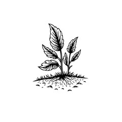 Detailed botanical illustration showcasing a young plant's vigorous growth symbolizing resilience