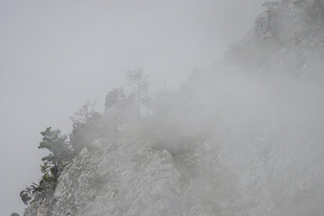 Fog enveloping a rocky mountain peak features sparse trees clinging to the rugged terrain, creating...
