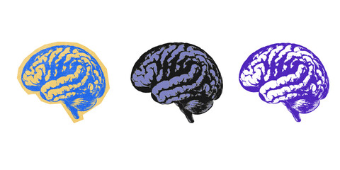 Colorful Artistic Human Brain Illustration Set in Blue Purple and Black Design Isolated PNG