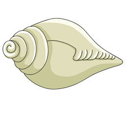 cute cartoon hand drawn vector conch sea shell clipart.