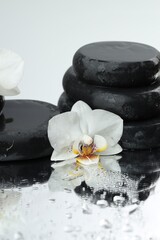 Beautiful orchid flowers, water drops and spa stones on mirror surface, closeup