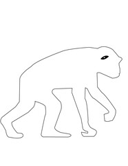 vector illustration of a monkey